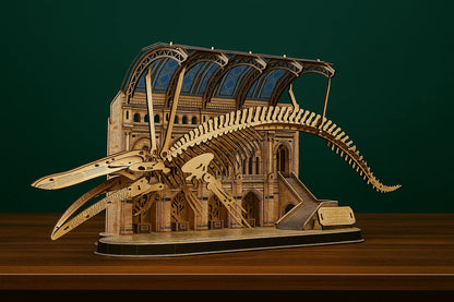 Maquette en bois du squelette de baleine Balaenoptera musculus sans éclairage, présentée sur une table en bois devant un fond vert foncé.