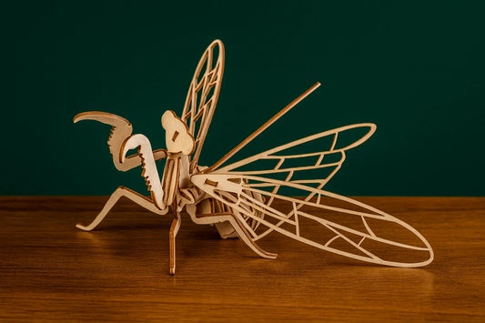 Maquette en bois d’une mante religieuse posée sur une table en bois, pattes avant relevées, ailes ouvertes.