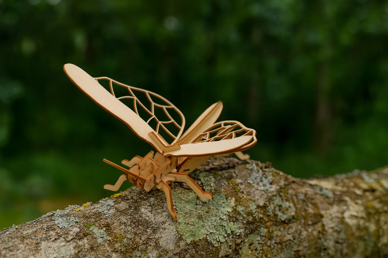 Maquette en bois de sauterelle placée sur une branche d’arbre dans un environnement naturel verdoyant.