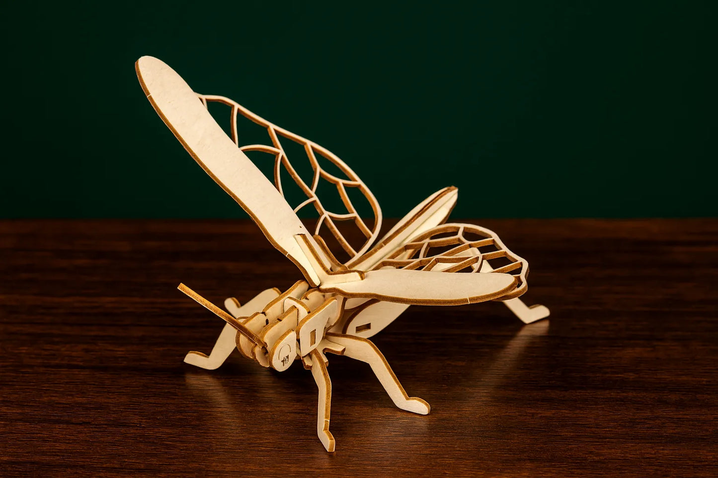 Maquette en bois d’une sauterelle posée sur une table en bois, ailes déployées devant un fond vert.