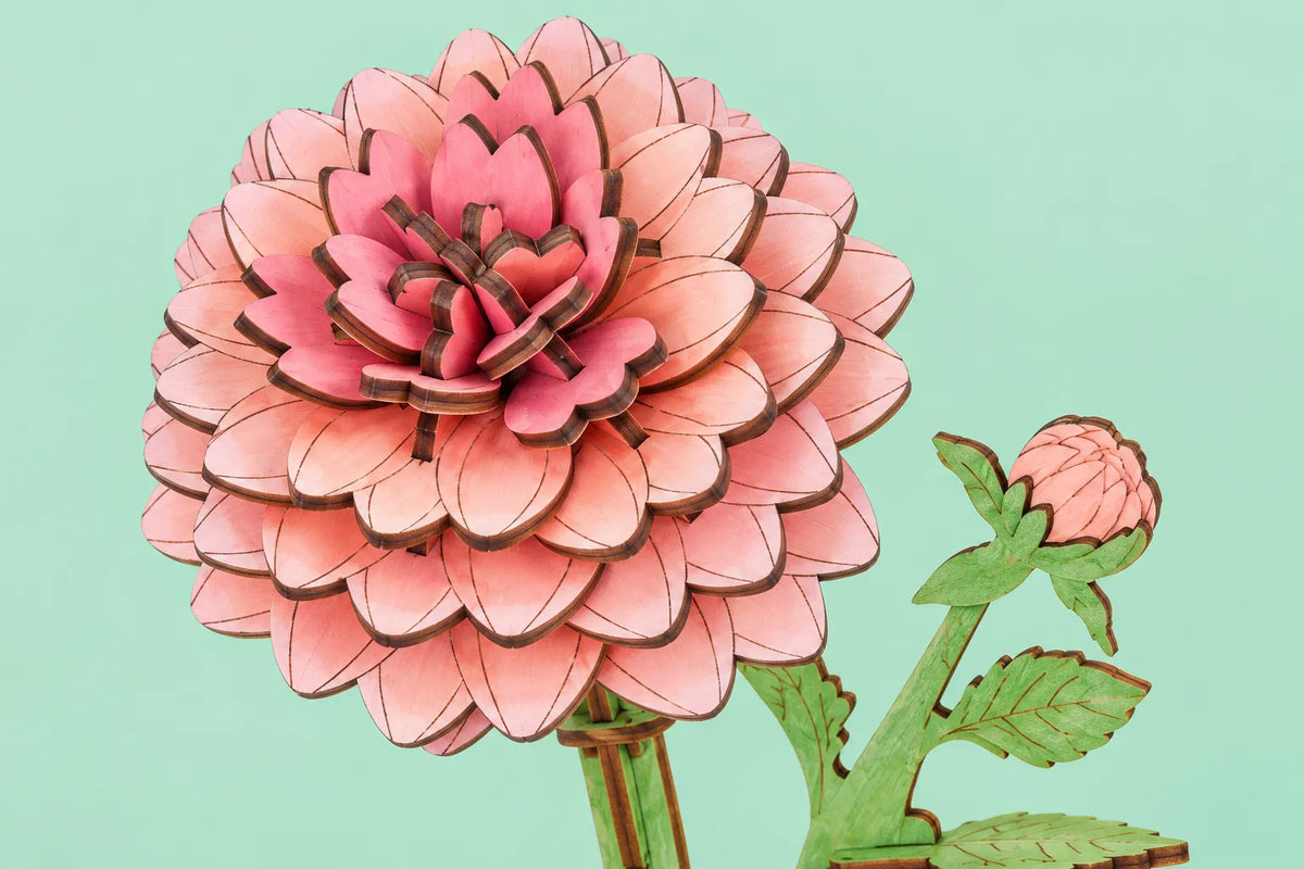 Maquette en bois - Le dahlia