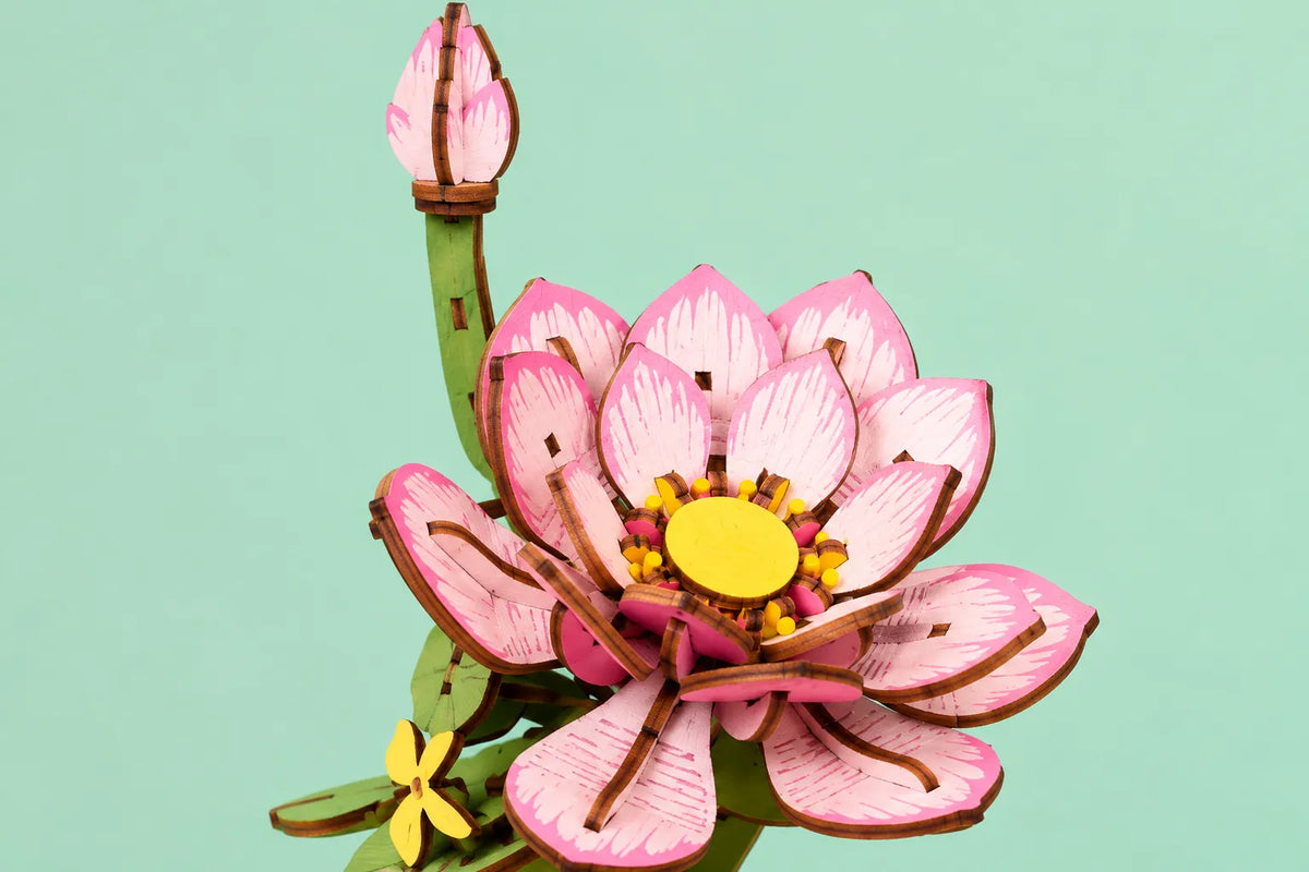 Maquette en bois - Le lotus