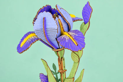 Maquette en bois - L'iris bleu-violet