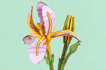 Maquette en bois - L'iris