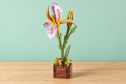 Maquette en bois - L'iris