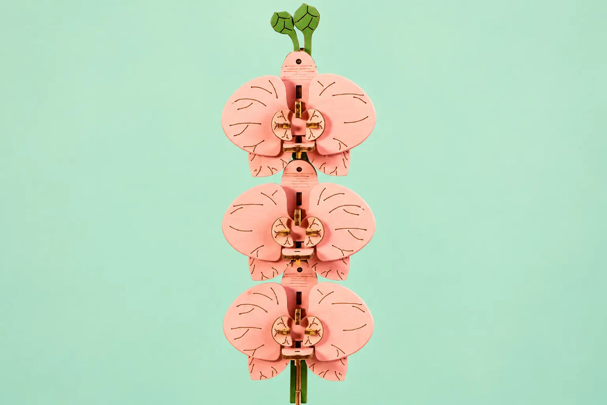 Maquette en bois - L'orchidée papillon