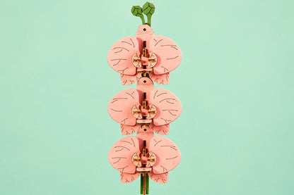 Maquette en bois - L'orchidée papillon