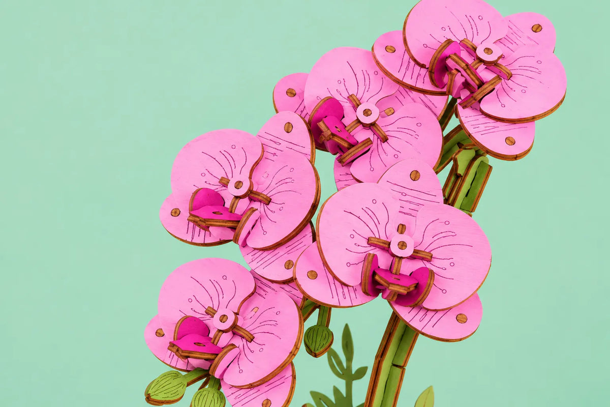 Maquette en bois - L'orchidée