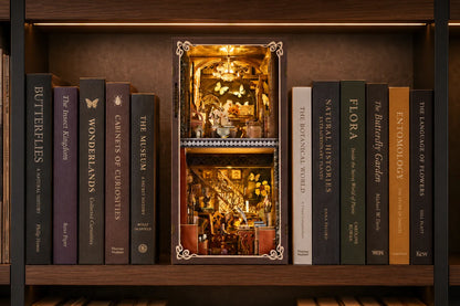 Maquette en bois - Serre-livres, collection de papillons